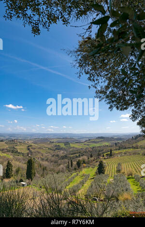 Vue verticale de la campagne viticole en Toscane, Italie. Banque D'Images