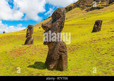 Les statues Moai de Rano Raraku carrière qui n'a jamais réussi à leur plate-forme ou d'ahu sur l'île de Rapa Nui (Île de Pâques) dans l'océan Pacifique, le Chili. Banque D'Images