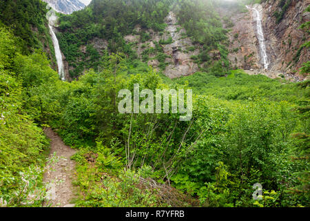 Sentier menant à l'Twin Falls de Smithers, Colombie-Britannique, Canada Banque D'Images