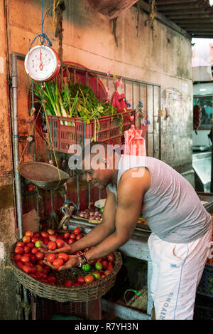 Vendeur Latino sélection tomates sur le marché (Mercado Bazurto Bazurto). Portrait de l'environnement. Cartagena de Indias, Colombie. Oct 2018 Banque D'Images