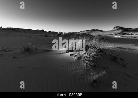 Éclairé par le soleil couchant, dunes de sable côtières avec des touffes d'herbe. La Pologne, les dunes sur la côte de la mer Baltique, autour de Czołpin. Banque D'Images