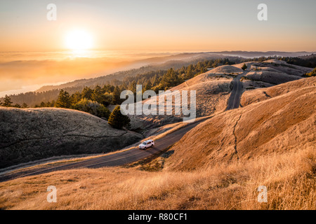 Soleil d'or dans les collines du Mont Tamalpais State Park Banque D'Images