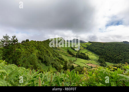 Plantes vertes luxuriantes et les pâturages dans Sete Cidades à Sao Miguel, Açores. Banque D'Images