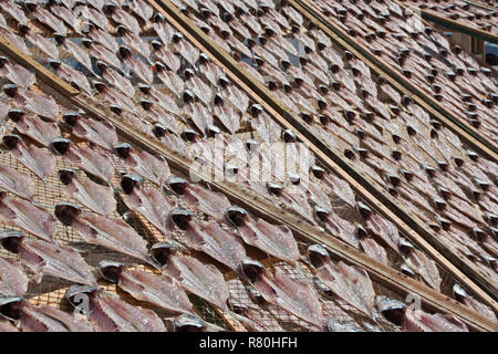 Le poisson mis à sécher au soleil sur la plage au Portugal Banque D'Images