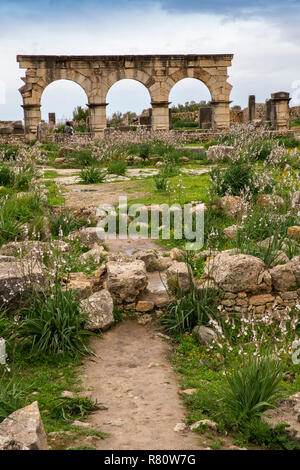 Maroc, Meknès, Volubilis, site romain trois arches sur Decumanus Maximus, rue principale Banque D'Images