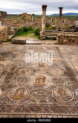 Maroc, Meknès, Volubilis site romain Maison de Dionysos, quatre saisons, entouré de muses mosaic Banque D'Images