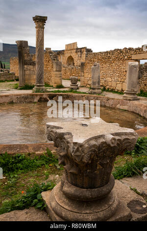 Maroc, Meknès, Volubilis, site romain Chambre de colonnes, les capitaux en bassin circulaire, colonne spirale inhabituel Banque D'Images