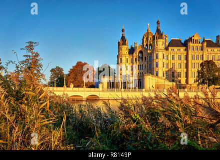 Reed bord sur le Burgsee avec le château de Schwerin en arrière-plan. Allemagne Banque D'Images