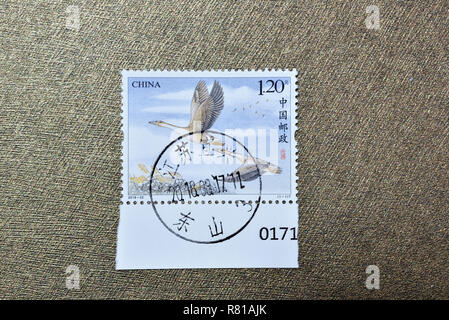 Chine - circa 2018 : timbres un imprimé en Chine montre 2018-22 Wild Goose, vers 2018. Banque D'Images