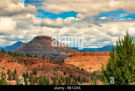 High Desert paysage plein de caractéristiques géologiques, l'armoise et de pins dans les régions rurales de Grant County près de Kimberly, Oregon Banque D'Images