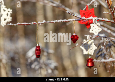 Étoile rouge de Noël et le cœur sur des rameaux et branches couvertes de givre dans la forêt Banque D'Images