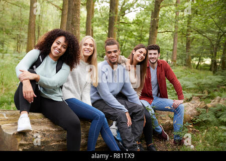 Groupe ethnique Multi de cinq jeunes amis adultes prenant une pause assis sur un arbre tombé dans une forêt au cours d'une randonnée pédestre, portrait Banque D'Images
