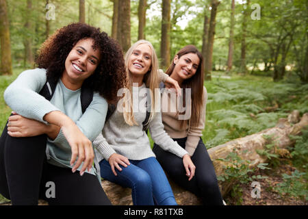 Trois jeunes femmes adultes heureux de prendre une pause assis sur un arbre tombé dans une forêt au cours d'une randonnée pédestre, portrait Banque D'Images