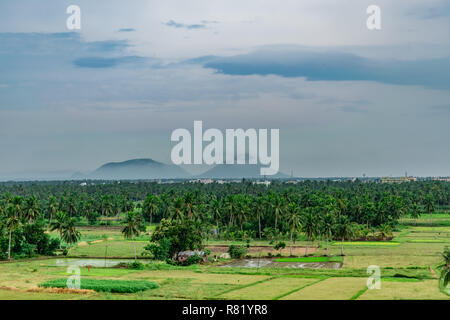 Superbe vue sur le jardin de cocotiers avec rizières et vue sur le ciel bleu de la montagne. Banque D'Images