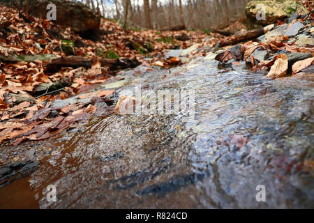 Photo d'un ruisseau qui coule des vers. Banque D'Images