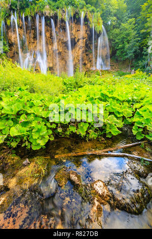 Close up of blue cascades dans une forêt verte pendant la journée en été.Les lacs de Plitvice, Croatie Banque D'Images