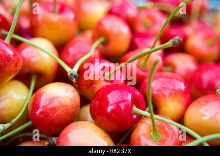 Rouge-jaune brillant et frais cerises - libre Banque D'Images