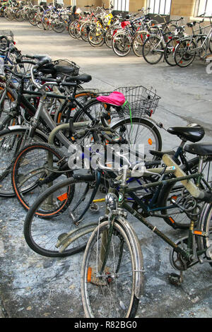 Les vélos garés dans gare à Wiesbaden, Hesse, Allemagne. La station est utilisée par plus de 40 000 voyageurs chaque jour. Banque D'Images