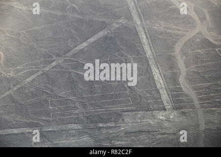 Vue aérienne de lignes de Nazca - Parrot géoglyphe, Pérou. Les lignes ont été désignées comme site du patrimoine mondial de l'UNESCO en 1994. Banque D'Images