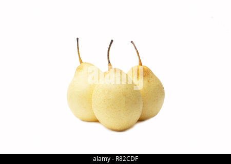 Chinois isolés (Poire, Poire asiatique, poires ya fruits coréen, nashi) sur le fond blanc Banque D'Images