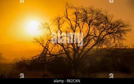 Lever du soleil à travers la brume et la poussière de Alpine, l'ouest du Texas. Banque D'Images