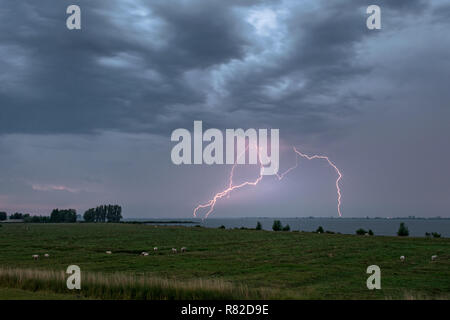 La foudre à plusieurs reprises dans l'eau sous un ciel dramatique. Photographié pendant une poursuite d'un violent orage sur le sud-ouest des Pays-Bas. Banque D'Images