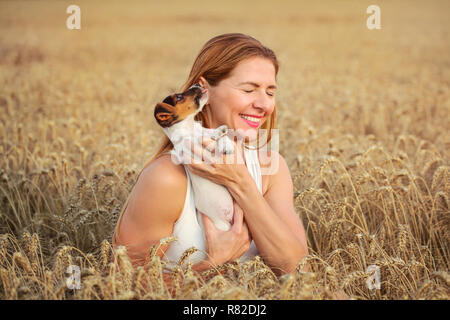 Jeune femme en champ de blé holding Jack Russell Terrier puppy, c'est lécher son oreille. Banque D'Images