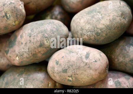 Les laver les pommes de terre nouvelles à la vente sur le marché agricole local, Close up Banque D'Images