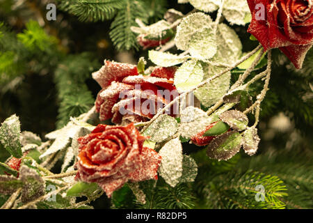 Un arrangement floral. Branches de sapin, épinette et cônes roses rouges dans la neige dans le froid. Noël encore la vie Banque D'Images