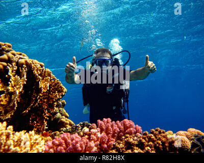 Plongeur dans la mer Banque D'Images