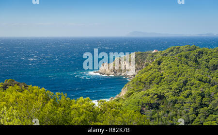 Ile de Porquerolles vue magnifique sur le paysage du chemin de marche, Provence Côte d'Azur, France Banque D'Images