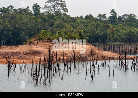 Thakhek, Laos - 20 Avril 2018 : arbres morts entourée de forêt près de Nam Theun village dans le sud du Laos durant la saison sèche Banque D'Images