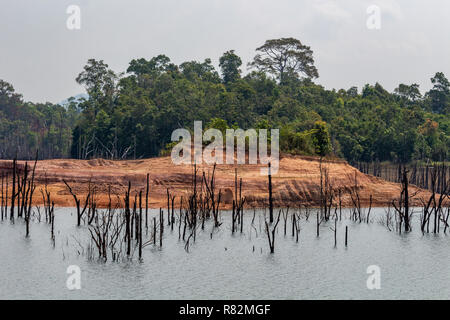 Thakhek, Laos - 20 Avril 2018 : arbres morts entourée de forêt près de Nam Theun village dans le sud du Laos durant la saison sèche Banque D'Images