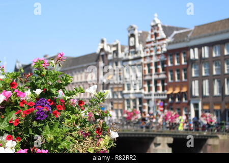 Amsterdam fleurs et paysage bâtiments Banque D'Images