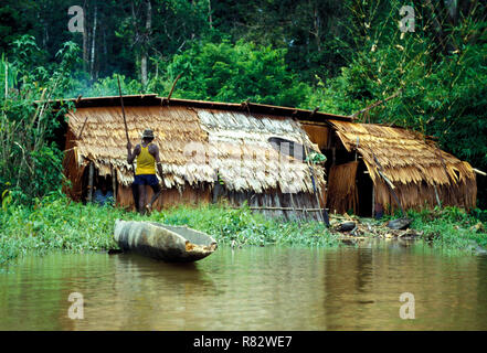 Un pavillon de chasse Asmat dansle marais à distance sur le côté sud de l'Irian Jaya, une région qui est reconnue comme l'un des dans le monde. Actuellement, cette région est menacée par un projet de la Banque mondiale qui se déplace actuellement à des milliers de personnes de la région densément peuplée îles centrales de l'Indonésie vers les régions périphériques. Ceci implique, en fin de compte la destruction de la forêt tropicale humide et le retrait forcé des populations tribales. Banque D'Images