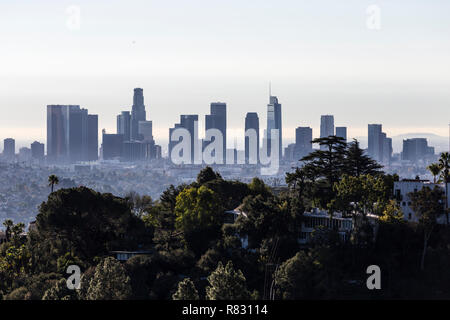Matin vue sur une colline couverte d'arbres et du centre-ville de Los Angeles à partir de Griffith Park populaires près de Hollywood en Californie. Banque D'Images