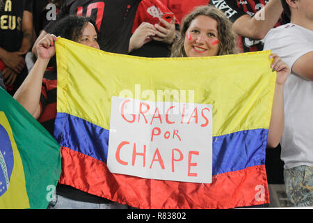 PR - Curitiba - 12/12/2018 - South American Cup 2018 - Atl tico-PR Junior x Barranquilla - Atletico-PR supporter dans le match contre Junior Barranquilla à Arena da Baixada Stadium pour le championnat 2018 de la coupe d'Amérique du Sud. Photo : Gabriel Machado / AGIF Banque D'Images