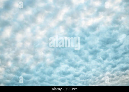 Avec ciel bleu et blanc moelleux doux nuages abstract background. Cirrocumulus texture. Couleur pastel. Banque D'Images