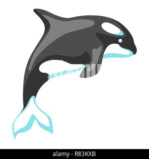 Killer whale en noir et blanc. Illustration de Vecteur