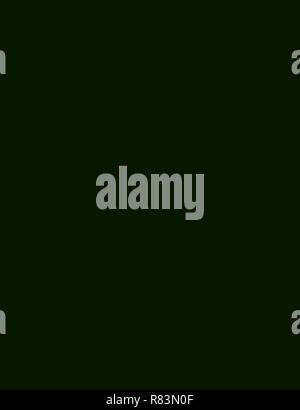 Hello Summer craie design lettrage main isolé sur fond noir Illustration de Vecteur