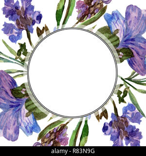 Mauve lavande. Botanique Floral fleur. Lame de ressort sauvages. Contexte aquarelle illustration set. Frame ronde. Banque D'Images