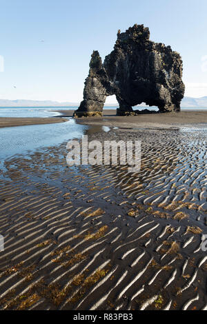 Hvítserkur, Hvitserkur, Fels, Felsen, Basaltfels an der Ostküste der Halbinsel Vatnsnes im Nordwesten von Island, rsteinerter "Troll', de basalte, de pile Banque D'Images