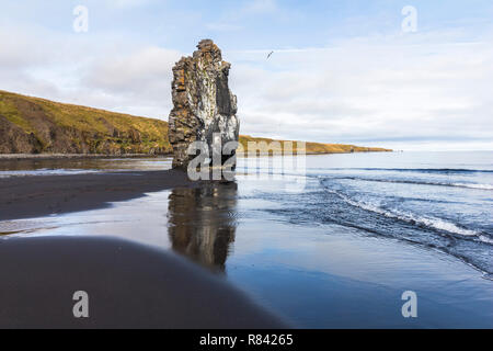 Arche de pierre Hvitserkur sur plage, Islande Banque D'Images