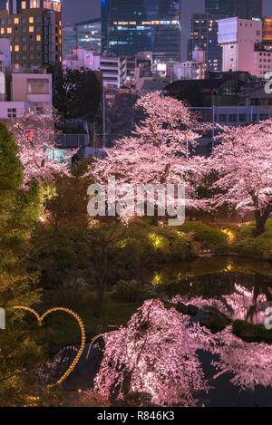 Voir l'épanouissement de la cerise à Mori Jardin, Tokyo, Japon. Banque D'Images