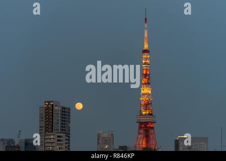 La Tour de Tokyo, Tokyo, Japon. Une tour moderne. Banque D'Images