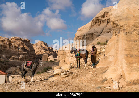 Pferde in der Landschaft bei der historischen Ruinenstätte Petra, Bosnien und her ..., Asien | chevaux dans le paysage autour de la ville antique de Petra, Jordanie, Banque D'Images