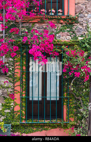 Bougainvillea décore les murs d'une maison en pierre - San Miguel de Allende, Mexique Banque D'Images