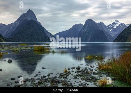 Milford Sound, île du Sud, Fiordland, Nouvelle-Zélande Banque D'Images