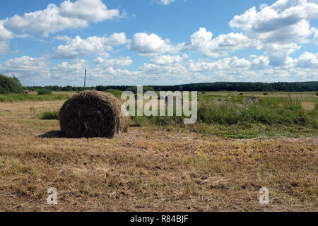 Beau paysage rustique avec hay rolls sur champ cultiver sous ciel bleu avec des nuages blancs dans la chaude journée d'été vue horizontale Banque D'Images