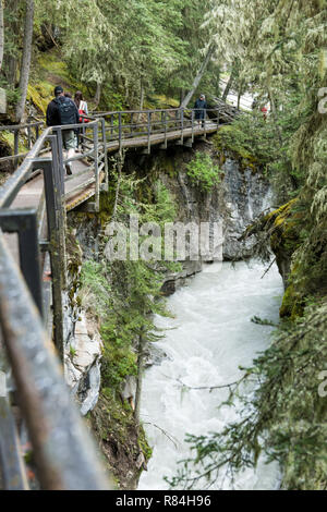 Randonnée le long de Johnston Canyon Lower et Upper Falls trail dans le parc national Jasper, Alberta, Canada. Les passerelles qui sont apposés sur la falaise de calcaire Banque D'Images